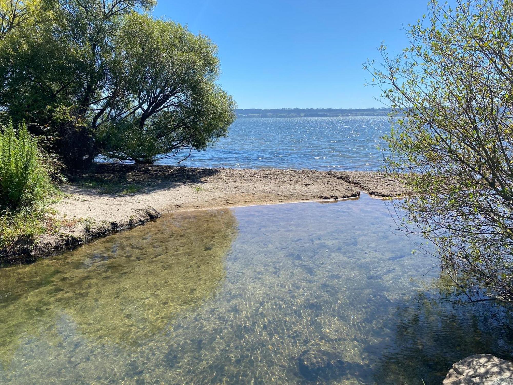 Zodiac Bay Lake Retreat Rotorua Ngoại thất bức ảnh